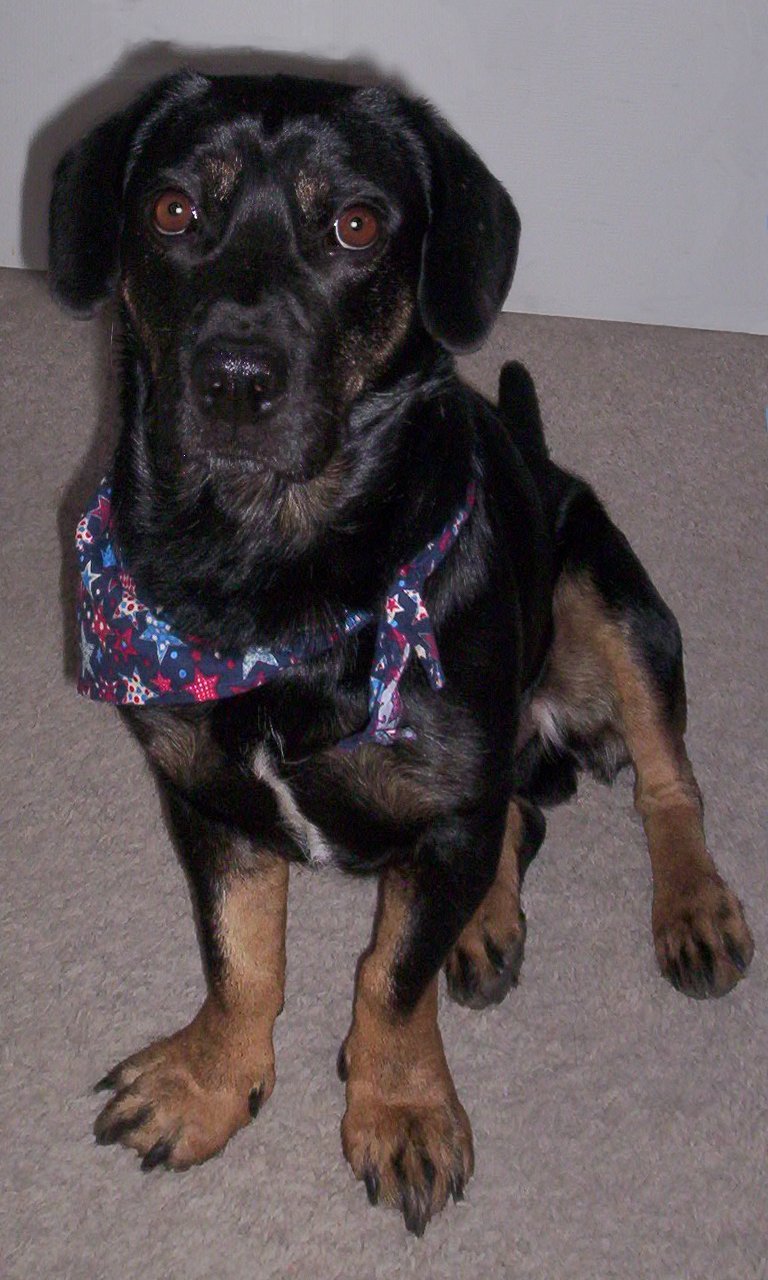 Buddy, 2012/02/19