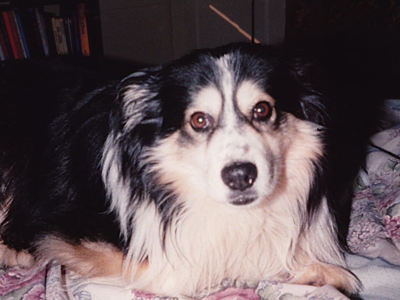 Portrait of Quinn